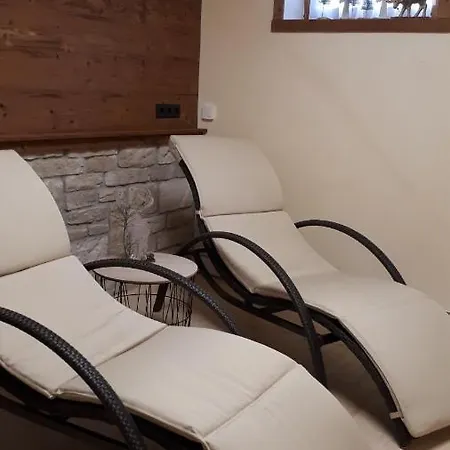 Panorama Montafon Tatil Evi *